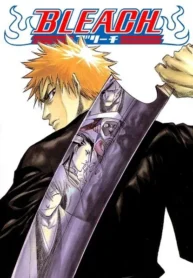 Bleach